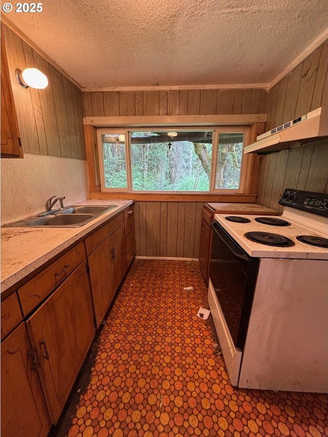 56294 Hall Dr, Mckenzie Bridge, OR 97413 - kitchen featuring white electric stove, wooden walls, under cabinet range hood, a sink, and light countertops