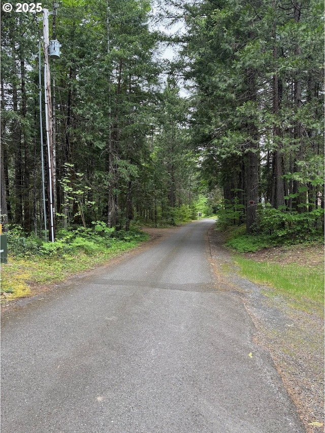 56294 Hall Dr, Mckenzie Bridge, OR 97413 - view of asphalt road with a forest view
