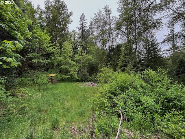 56294 Hall Dr, Mckenzie Bridge, OR 97413 - view of tree filled area