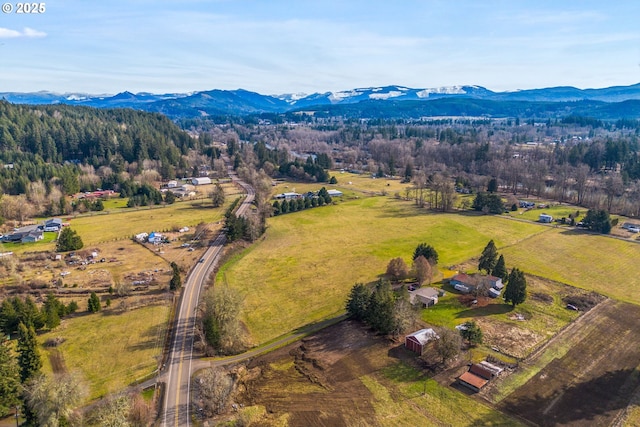 birds eye view of property with a mountain view and a rural view