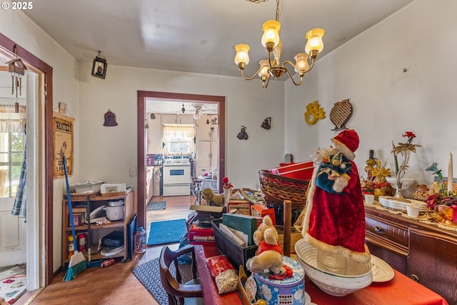 dining room featuring ceiling fan with notable chandelier and wood-type flooring