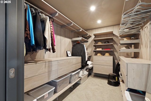 spacious closet with light carpet