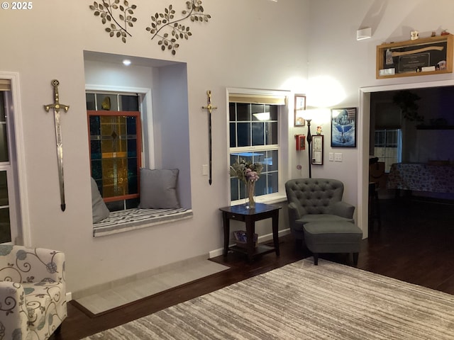 sitting room featuring dark wood-type flooring and a high ceiling