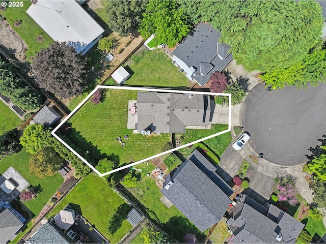 bird's eye view