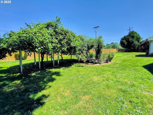 123 1st St, Dillard, OR 97432 - view of yard
