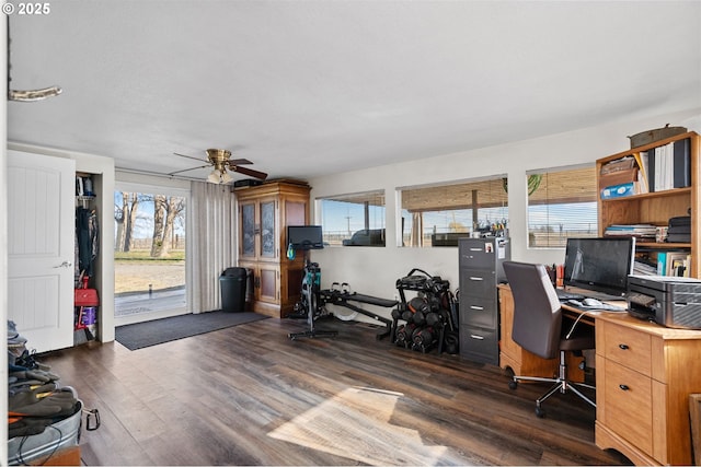 office with dark wood-type flooring, plenty of natural light, and a ceiling fan