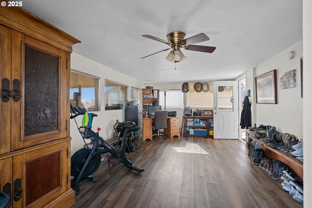 exercise area with dark wood-type flooring and a ceiling fan