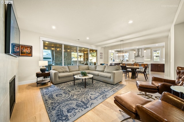 living room with a fireplace and light hardwood / wood-style flooring