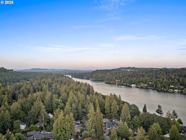 drone / aerial view of a forest and a nearby body of water