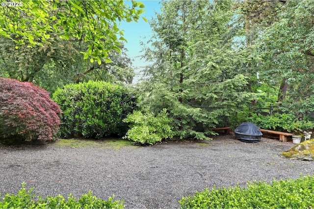 7100 SW Willowmere Dr, Portland, OR 97225 - view of yard