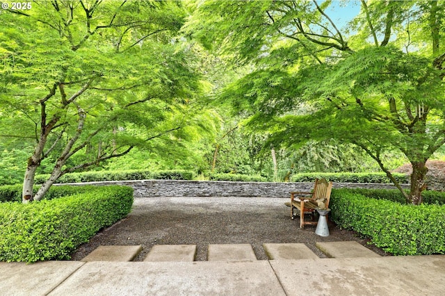 7100 SW Willowmere Dr, Portland, OR 97225 - view of patio