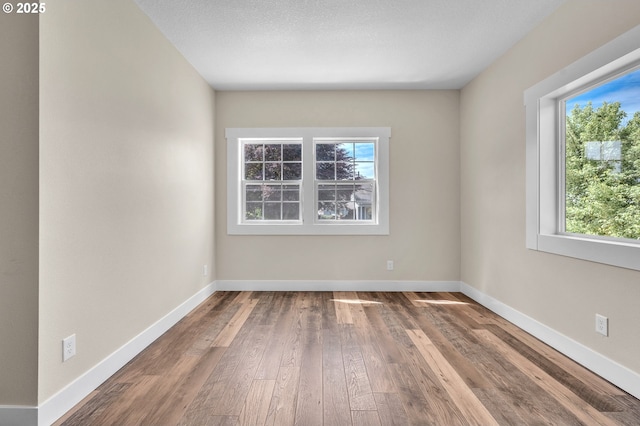 empty room with wood-type flooring and a textured ceiling