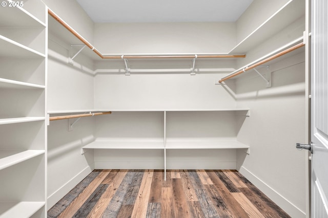 spacious closet with dark hardwood / wood-style floors