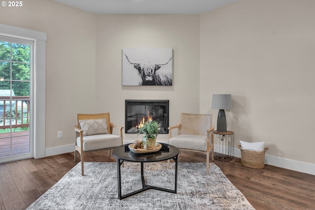 living area featuring dark wood-type flooring