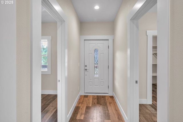 foyer entrance featuring hardwood / wood-style flooring