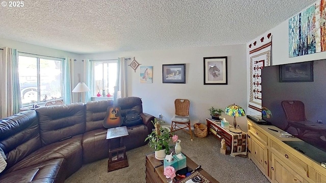 715 Penny Ln, Riddle, OR 97469 - carpeted living area with a textured ceiling