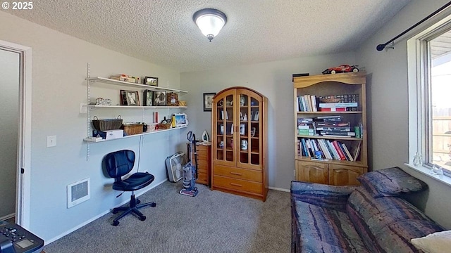 715 Penny Ln, Riddle, OR 97469 - carpeted office space with a textured ceiling and plenty of natural light