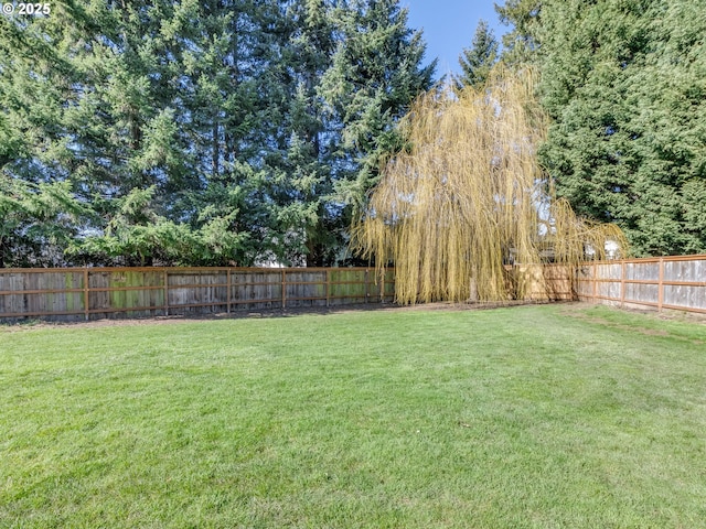 view of yard featuring a fenced backyard