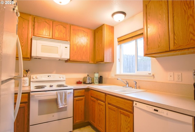 kitchen featuring sink and white appliances