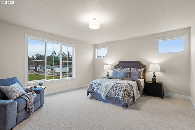 bedroom with carpet floors, a textured ceiling, and baseboards