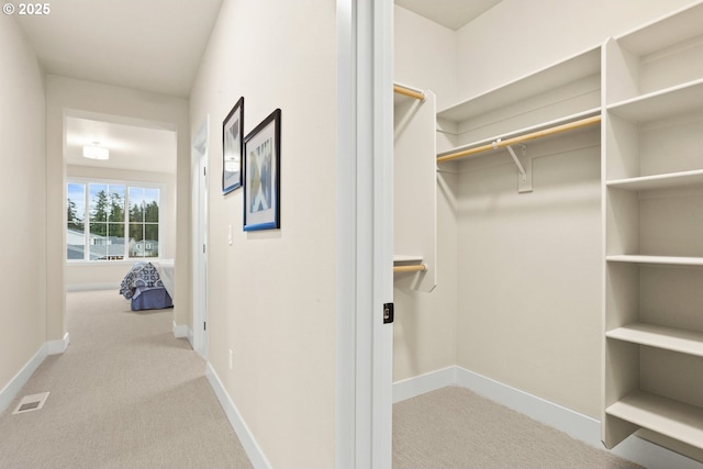 spacious closet featuring carpet and visible vents