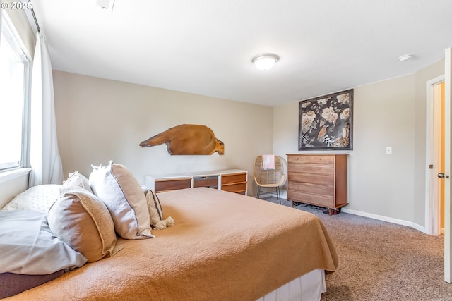 13503 NE 80th Cir, Vancouver, WA 98682 - bedroom featuring carpet flooring and baseboards