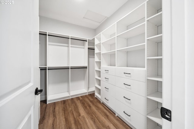 spacious closet featuring dark wood-type flooring and attic access