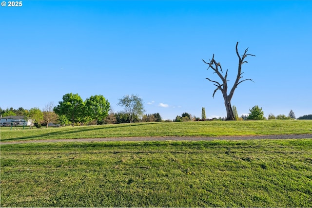 view of community featuring a rural view and a yard