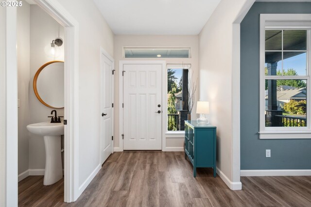 entryway featuring wood finished floors, plenty of natural light, and baseboards