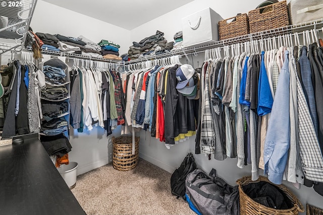 view of spacious closet