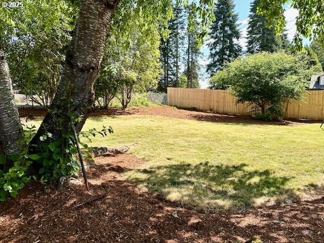 4120 NE 52nd St, Vancouver, WA 98661 - view of yard