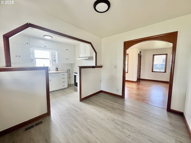 610 NE N St, Hermiston, OR 97838 - unfurnished living room with light wood-type flooring, healthy amount of natural light, baseboards, and a sink