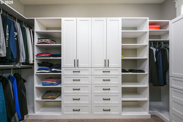 1936 NW Klickitat St, Camas, WA 98607 - view of spacious closet