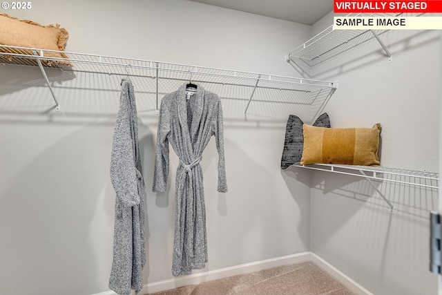31713 NW Turel Dr, North Plains, OR 97133 - walk in closet featuring carpet
