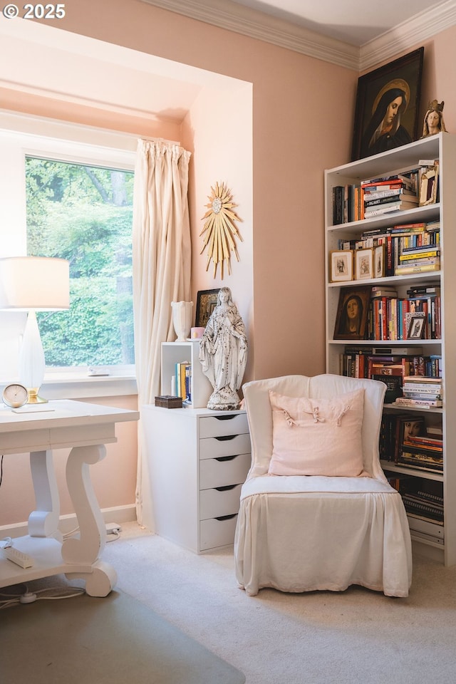 sitting room featuring crown molding and carpet