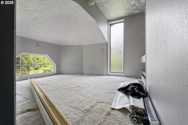 additional living space with carpet flooring, a textured ceiling, a textured wall, and a wealth of natural light
