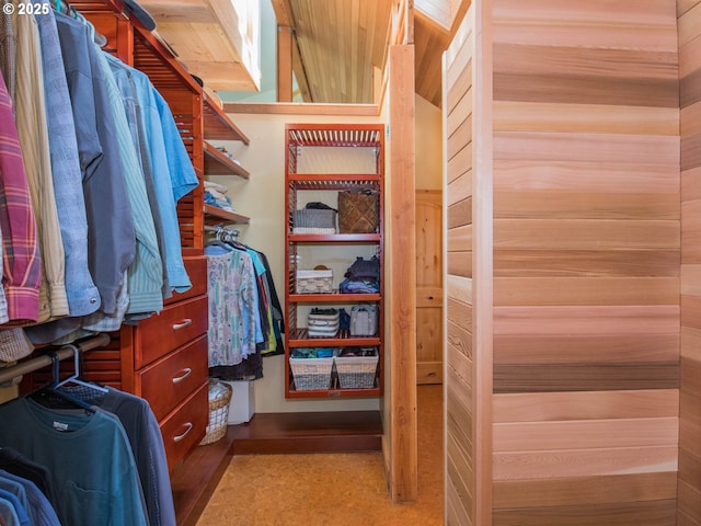 view of spacious closet