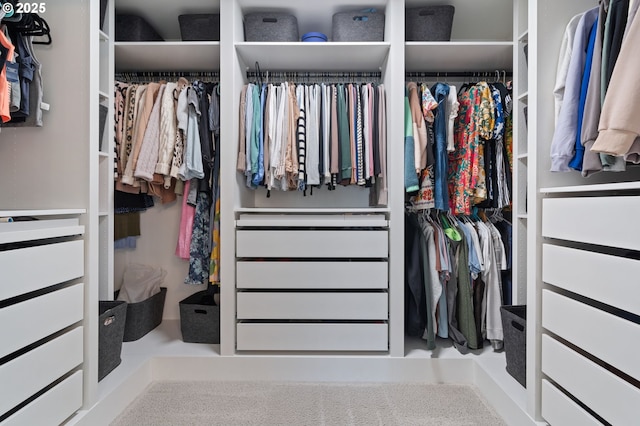 4815 S 12th Cir, Ridgefield, WA 98642 - view of walk in closet