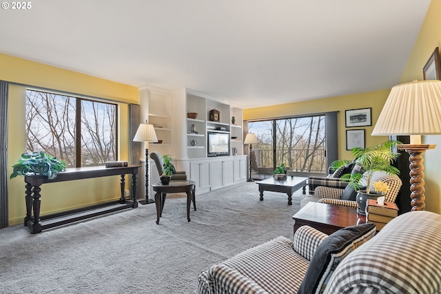 living area featuring carpet flooring