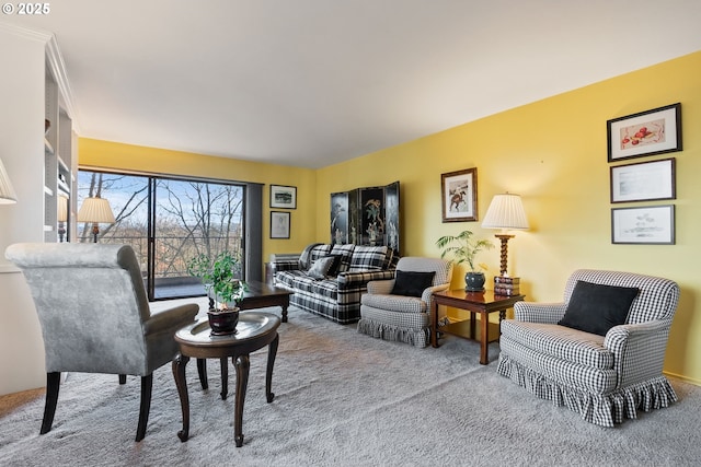 living area with carpet