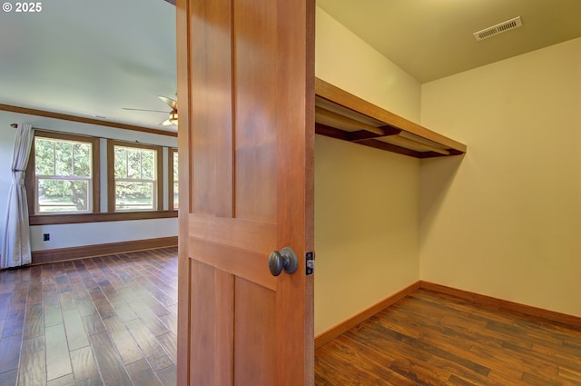 walk in closet featuring dark wood-type flooring and ceiling fan