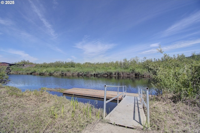 dock area with a water view