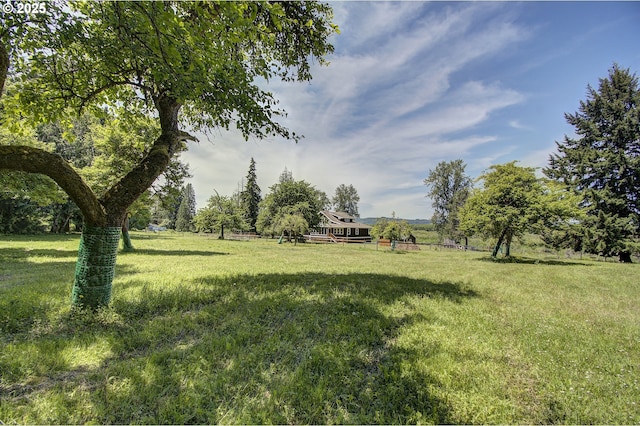 view of yard featuring a rural view