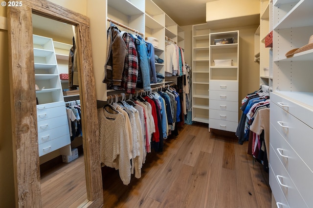 walk in closet featuring wood-type flooring