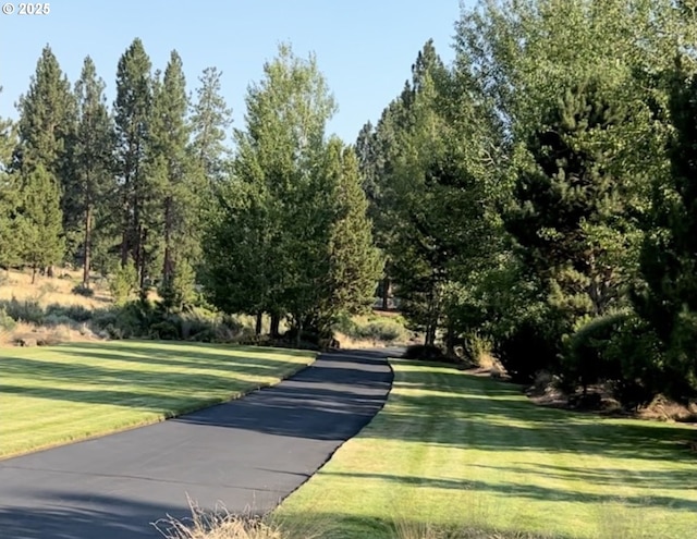 view of road