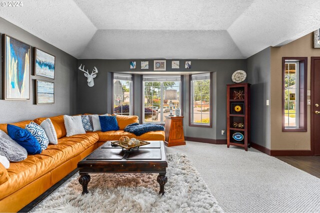 3644 Fall Creek Ct, Keizer, OR 97303 - living area with vaulted ceiling, baseboards, a textured ceiling, and carpet