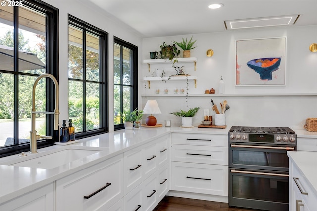 11700 S Makin Ln, Canby, OR 97013 - kitchen featuring double oven range, a sink, healthy amount of natural light, light countertops, and recessed lighting