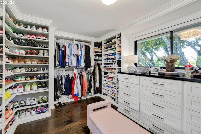 11700 S Makin Ln, Canby, OR 97013 - spacious closet with dark wood-style floors