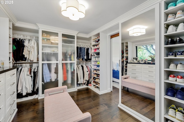 11700 S Makin Ln, Canby, OR 97013 - spacious closet with a chandelier and dark wood-style flooring