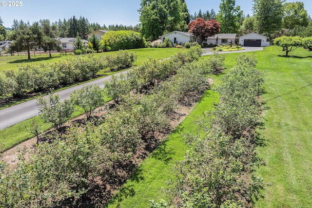 11700 S Makin Ln, Canby, OR 97013 - view of green lawn with a garage